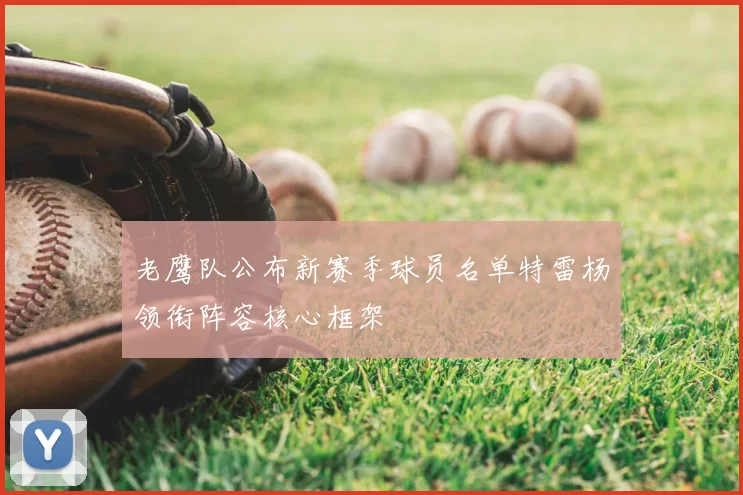 老鹰队公布新赛季球员名单特雷杨领衔阵容核心框架