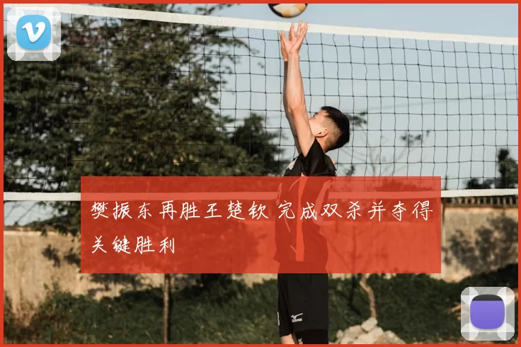 樊振东再胜王楚钦 完成双杀并夺得关键胜利