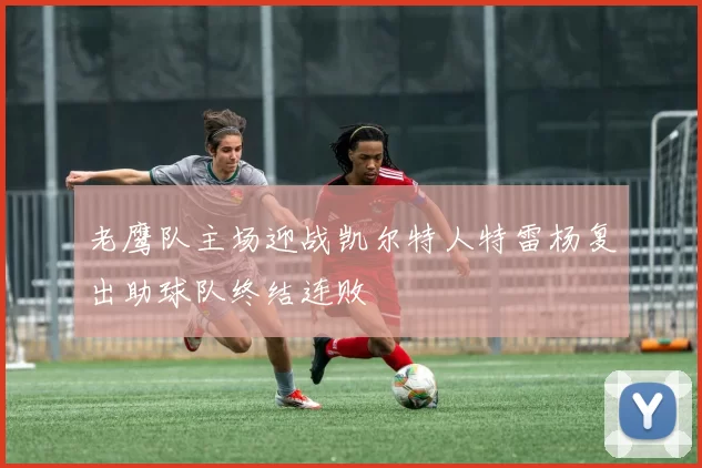 老鹰队主场迎战凯尔特人特雷杨复出助球队终结连败