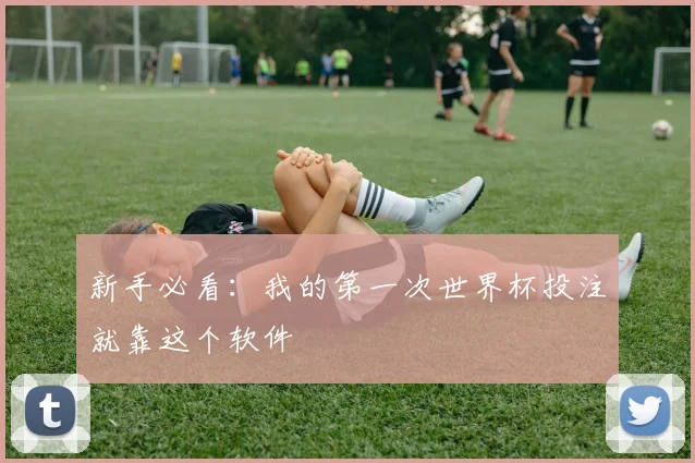 新手必看：我的第一次世界杯投注就靠这个软件