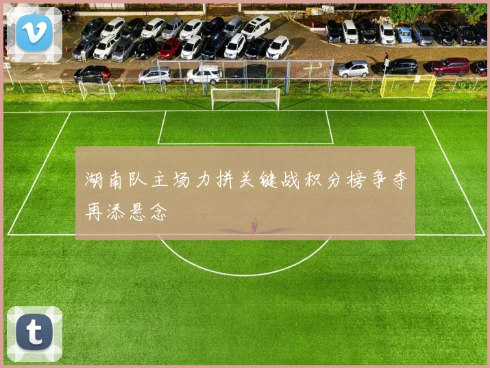 湖南队主场力拼关键战积分榜争夺再添悬念