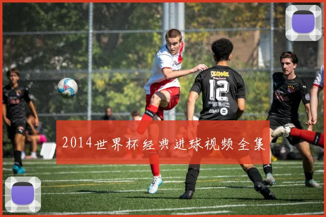 2014世界杯经典进球视频全集