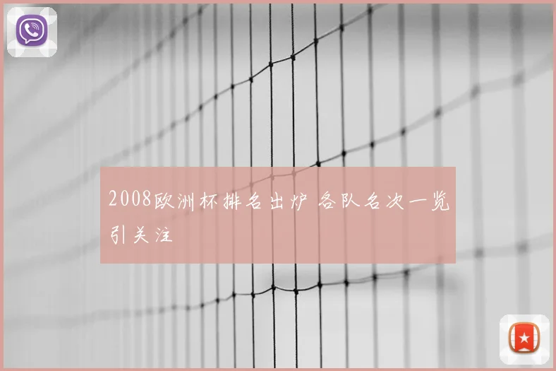 2008欧洲杯排名出炉 各队名次一览引关注