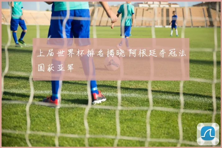 上届世界杯排名揭晓 阿根廷夺冠法国获亚军